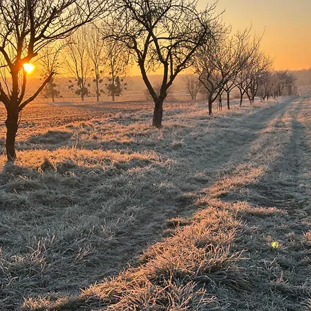 Jaktstuga La Cle De L Insolite