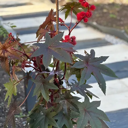 La Cle De L Insolite