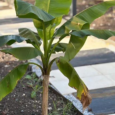 La Cle De L Insolite Hudiviller