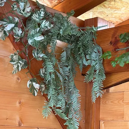 La Cle De L Insolite Jaktstuga