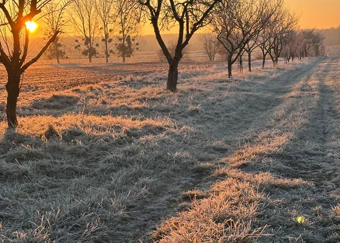 Chata La Cle De L Insolite