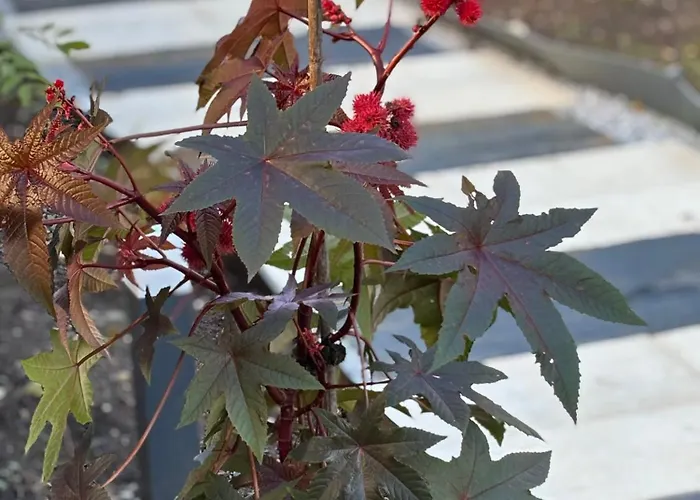 La Cle De L Insolite