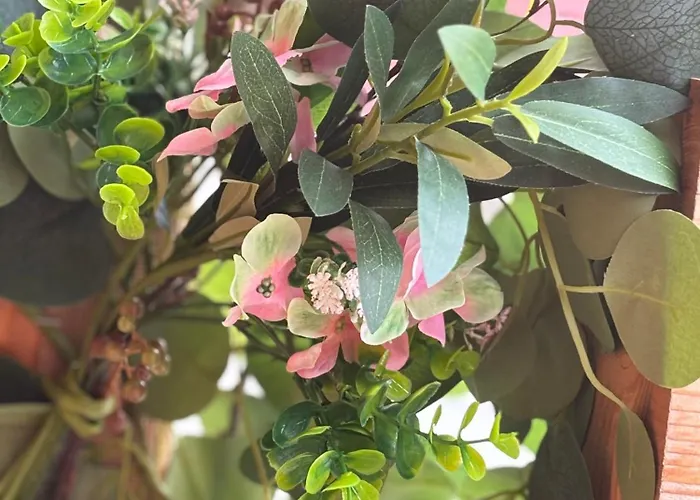 La Cle De L Insolite Chata Hudiviller