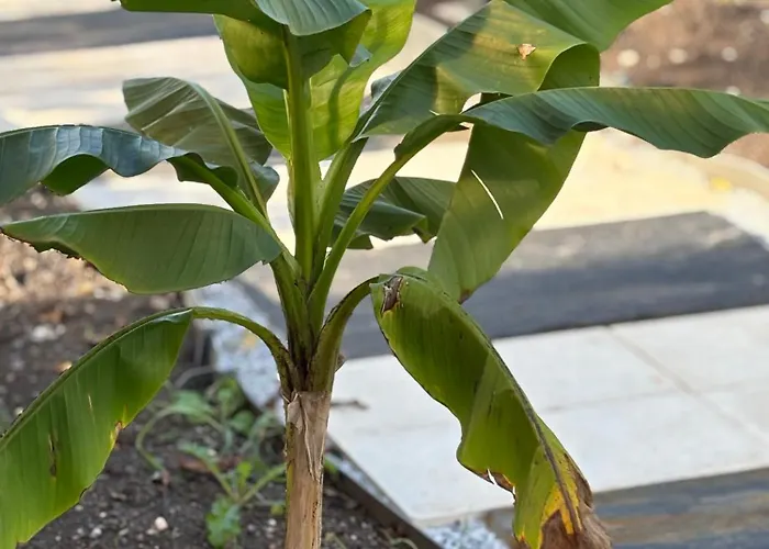 La Cle De L Insolite Hudiviller