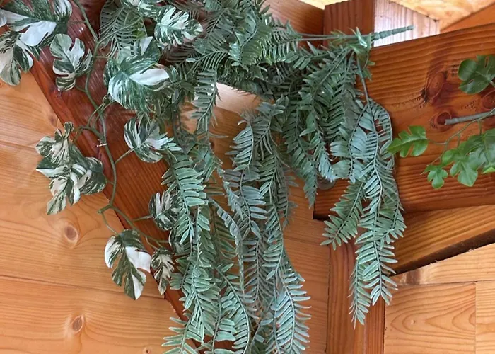 La Cle De L Insolite Chata