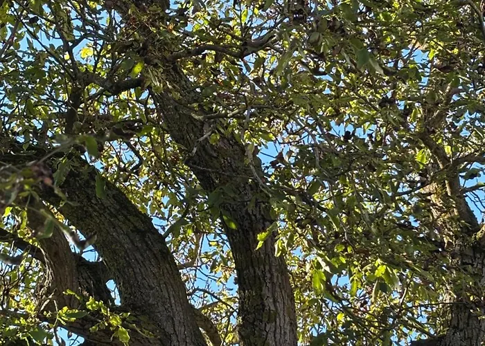 La Cle De L Insolite